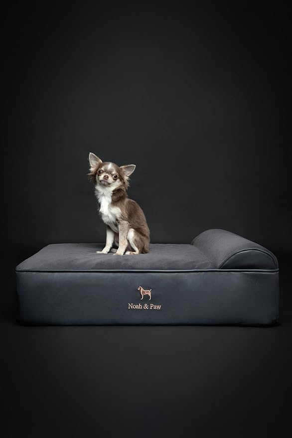 NOAH & PAW Dog Bed, 28x23x7.5 Inch, Orthopedic Dog Beds for Medium Size Pets, Eggshell Memory Foam Infused with Cooling Gel, Waterproof, Machine Washable, Includes Inner Cover (Faux Leather)