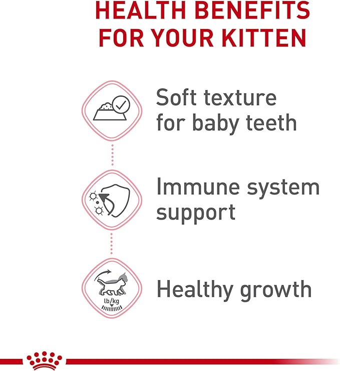 Royal Canin Feline Health Nutrition Kitten Thin Slices in Gravy Cat Food, 3 oz (Pack of 24)