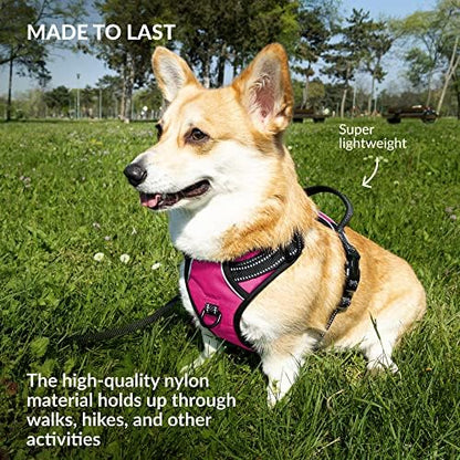 CollarDirect No Pull Reflective Dog Harness with Handle and Front Clip, Adjustible Soft Padded Vest for Small to Large Dogs Training and Walk (Size M, Pink)
