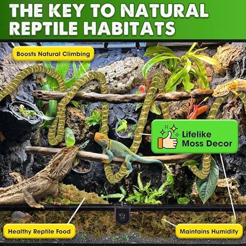Duspro Reptile Decor Set, 10FT Bendable Vine & 4 Oz Dried Forest Moss