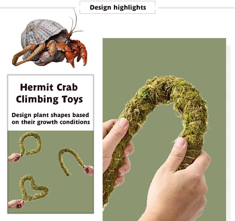 Hermit Crab Accessories, Natural Adjustable Hermit Crab Climbing Toys Bendable Bridge, Coconut Shell Hideout Hut, Plants for Reptiles & Amphibians Supplies (A-Group-4PCS)