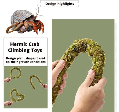 Hermit Crab Accessories, Natural Adjustable Hermit Crab Climbing Toys Bendable Bridge, Coconut Shell Hideout Hut, Plants for Reptiles & Amphibians Supplies (A-Group-4PCS)
