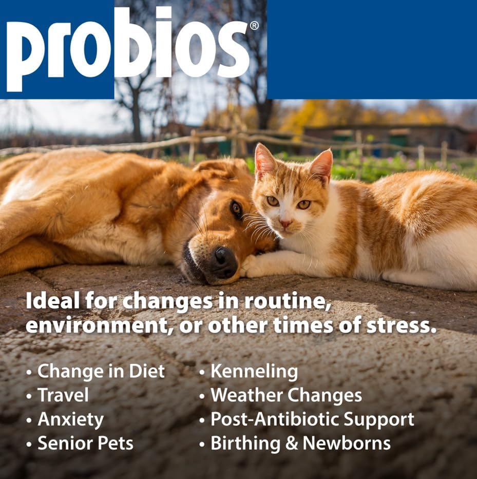 Probios Probiocin Oral Gel for Dogs & Cats, 15 g Tube