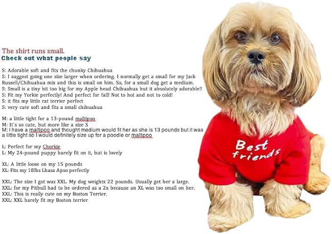 Cute Dog Clothes, T Shirt for Medium and Small Dogs Girl Boy,Puppy.Breathable Soft Dog Costume for Pet Dogs Cats, Pet Pullover Jumper, Cat Clothes (XL-(16~20lb), Chest~20", Aqua)