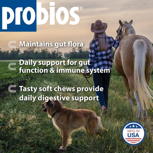 Probios Horse Probiotic Soft Chews, Apple Flavor, 1.32 lb, 2-Pack