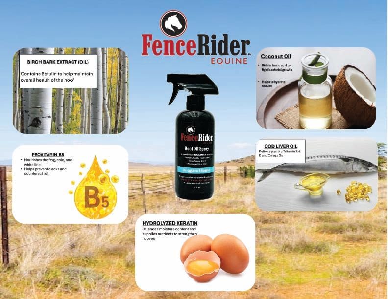 Fence Rider Hoof Oil Spray, Premium Blend of Natural Oils and Nutrients to Balance Hoof Moisture, While Working to Correct Cracks and Counteract Rot. 16 oz Ready to Use (16 oz)
