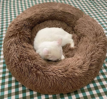 Cat Bed for Indoor Cats,Mini Plush Self Warming Kitten Bed, 20 Inch