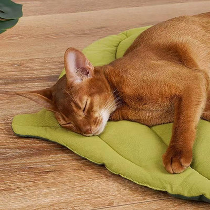 Leaf Pet Bed & Mat for Cats and Dogs – Cozy Warm Resting Pad for Sofa & Floor, Pet Hair Protection (Leaf, Large)