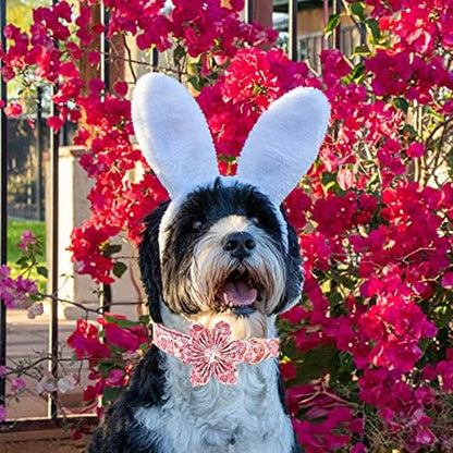 Easter Dog Collar with Flower- Pink Bunny Dog Collar Flower for Dogs Flower Pet Adjustable Dog Collar Girl Boy Dog Collar for X-Large Dogs