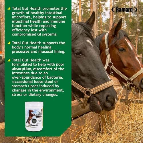 Ramard Total Gut Health Equine Digestive Support - Equine Gut Health Supplement Probiotics for Horses, Healthy Gut Vitamins, Gastric Relief, Optimum Digestive Health for Horses 1.12lb, 30-Day Supply