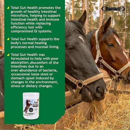 Ramard Total Gut Health Equine Digestive Support - Equine Gut Health Supplement Probiotics for Horses, Healthy Gut Vitamins, Gastric Relief, Optimum Digestive Health for Horses 1.12lb, 30-Day Supply