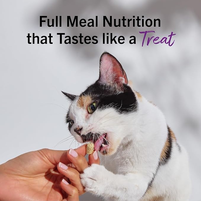 Stella & Chewy's Freeze-Dried Raw Cat Dinner Morsels - Premium Salmon & Chicken Recipe with 98% Wild-Caught & Cage-Free Protein - Natural Grain-Free Cat & Kitten Food - Made in USA - 18 oz