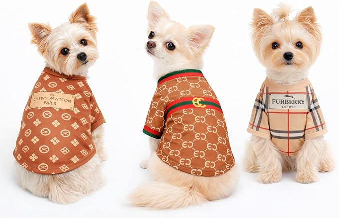 Luxury Designer Dog T Shirt – Trendy Puppy Clothes for Small Dogs, Fashion Pet Tee for French Bulldogs & Chihuahuas, Everything Chic Dog Apparel (StarbarksTee, Small)