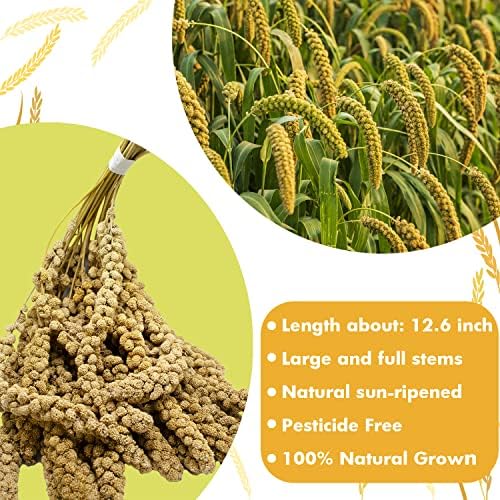 Spray Millet Treat for Birds Parakeets, Millet for Birds, Natural Bird Food