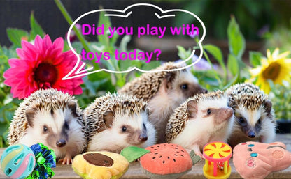 10 pcs Cute Hedgehog Enrichment Toys Hedgehog Supplies Cage Accessories Small Animal Ball Bell Pet Interactive Exercise Ball Entertainment