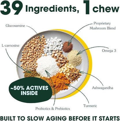 Arterra Longevity Multivitamin for Dogs – 50% Active Ingredients – Vet-Formulated Daily Soft Chews for Gut, Brain, Joint & Immune Health – Human-Grade Supplement | 60 Count