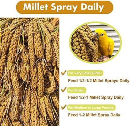 Spray Millet Treat for Birds Parakeets, Millet for Birds, Natural Bird Food