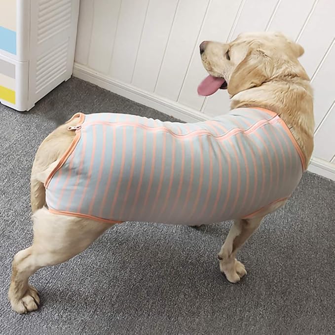 Dog’s Recovery Suit Post Surgery Shirt for Female Male Dog, E-Collar Alternative Wound Protective Clothes (Grey Orange-XL)