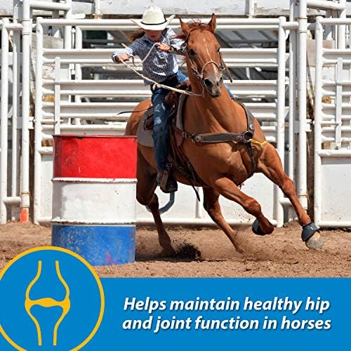 Farnam Fluidflex Liquid Joint Supplement for Horses, 128 Day Supply, 128 oz