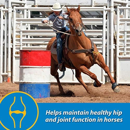 Farnam Fluidflex Liquid Joint Supplement for Horses, 128 Day Supply, 128 oz
