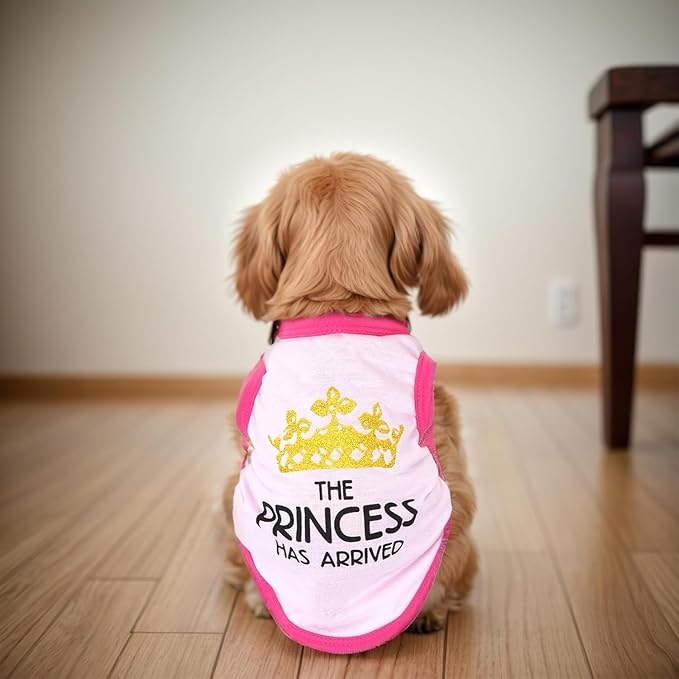 Pistha 4 Pack Dog Shirts Summer Printed Puppy Clothes Cute Sleeveless Pet T Shirts Dog Clothes for Small Medium Dogs Cats Girl(XL)