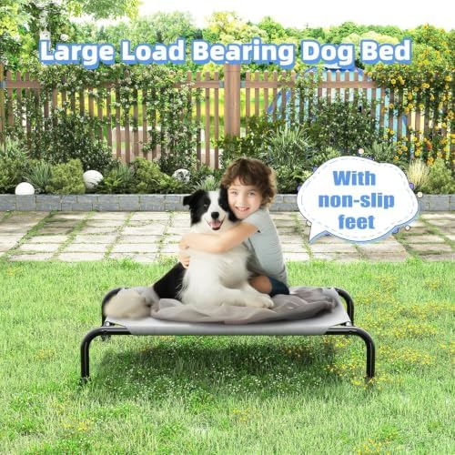 Simple Trending Raised Dog Bed for Small Dogs, Elevated Dog Cot, Grey