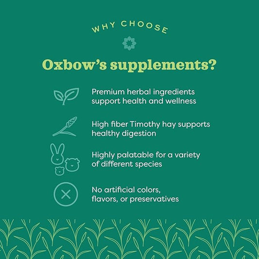 Oxbow Natural Science Joint Support Wafers for Small Animals, Glucosamine Supplement for Rabbits, Guinea Pigs & Chinchillas, Mobility Support, Timothy Hay Treats, Made in USA, 4.2 oz, (3 Pack)