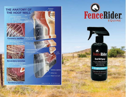 Fence Rider Hoof Oil Spray, Premium Blend of Natural Oils and Nutrients to Balance Hoof Moisture, While Working to Correct Cracks and Counteract Rot. 16 oz Ready to Use (16 oz)