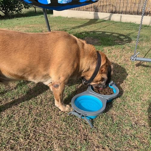 Loving Pets Bella Roma Double Diner Collapsible Dog Bowls - Silicone Dog Bowls, Foldable Bowl, Puppy Essentials & Hiking Pet Supplies Great for Home & Travel (Blue, Medium)