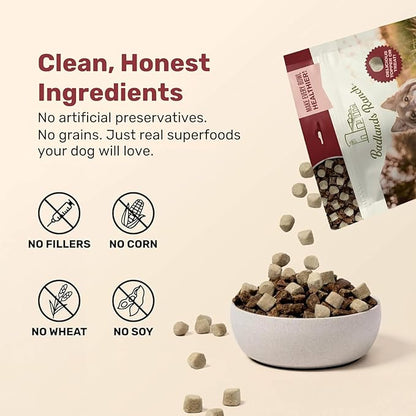 BADLANDS RANCH Superfood Nuggets – Freeze-Dried Raw Dog Treat & Food Topper, Nutrient-Dense Bison & Kale Formula, High Protein, No Artificial Additives, 8oz Bag