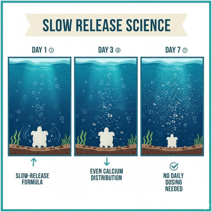 Shellstrong Premium Calcium Block for Aquatic Turtle - Slow Release Water Tank Conditioner - Cuttlebone for Aquarium - Turtle Tank Accessories - 20 Gallon Aquatic Treatment (3 Calcium Blocks)