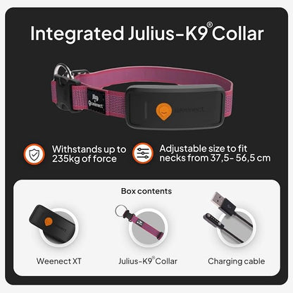 Weenect Dog XT - NEW GPS Collar for Dogs | XL Antenna | Waterproof | Ultra-Durable Integrated Julius-K9 Collar | Subscription Required