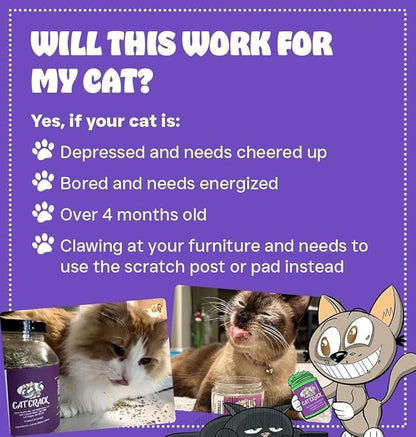 Cat Crack Catnip, Zoomie-Inducing Cat Nip Blend, North American Made & 100% Natural, Safe & Non-Addictive Catnip Treats Used to Supplement Cat Nip Toys, Spray, & Accessories (4 Cups)
