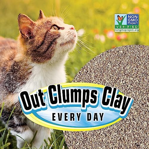 SmartCat All Natural Clumping Cat Litter - Chemical and Dust Free - Alternative to Clay and Pellet Litter - Unscented and Lightweight - 5 Pounds