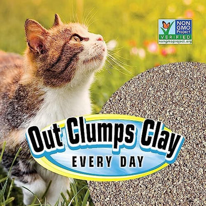 SmartCat All Natural Clumping Cat Litter - Chemical and Dust Free - Alternative to Clay and Pellet Litter - Unscented and Lightweight - 5 Pounds