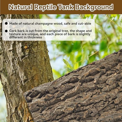 4PCS Reptile Cork Bark Mat,15.74 x 11.81 Inch Natural Cork Wood Terrarium Background Bearded Dragon Tank Bark Backdrop Wall Decor for Lizard Gecko Chameleon Tortoise Snake Spider Frog