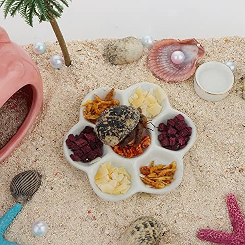 DQITJ 2 Pcs Hermit Crab Ceramic Food Dish, 7 Compartments Anti-turning Food & Water Bowl (White)
