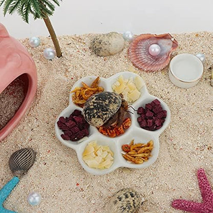 DQITJ 2 Pcs Hermit Crab Ceramic Food Dish, 7 Compartments Anti-turning Food & Water Bowl (White)