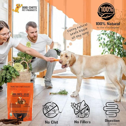 Dog Chits Turkey and Sweet Potato Soft Chew for Dogs - Dog and Puppy Chews | Made in USA | Organic Turkey | All-Natural Treats | Large & Small Breeds | Organic Sweet Potato | 4 oz.