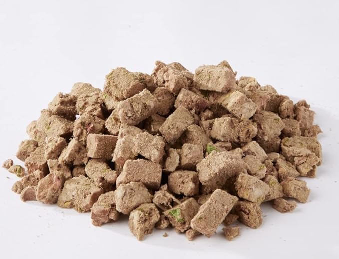 Fresh Is Best Pork Freeze Dried Dog Food – Raw Dog Food Toppers for Puppies & Adult Canines – High-Protein Freeze Dried Pork in Resealable Zipper Bag – Made in the USA – 8 oz