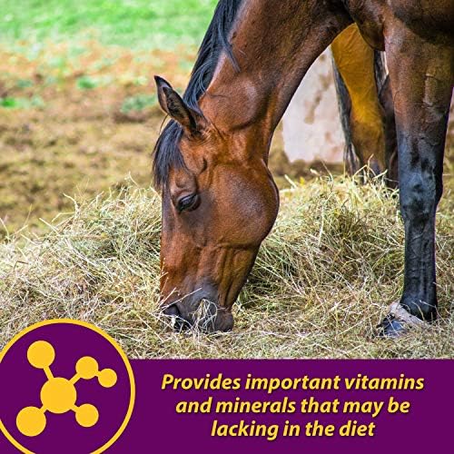 Farnam Horse Health Red Cell Pellets, Vitamin-Iron-Mineral Supplement for Horses, Helps Fill Important Nutritional Gaps in Horse's Diet, 4 lbs., 64-Day Supply (Pack of 4)