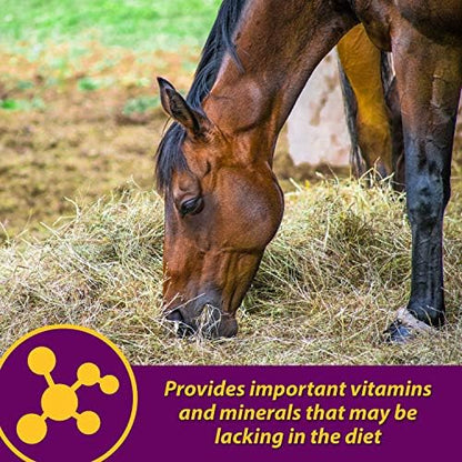 Farnam Horse Health Red Cell Pellets, Vitamin-Iron-Mineral Supplement for Horses, Helps Fill Important Nutritional Gaps in Horse's Diet, 4 lbs., 64-Day Supply (Pack of 4)