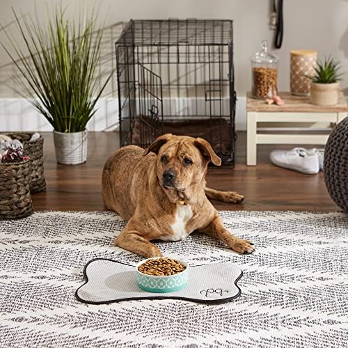 Bone Dry Lattice Collection Pet Bowl & Canister, Single Dish, Medium 6x2", Aqua