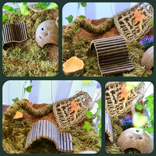 Hermit Crab Accessories – 8PCS Natural Hermit Crab Toys Climbing Bridge, Shells, Coconut Hideout, Moss and Plants for Hermit Crabs Habitat & Reptile Tank Decor