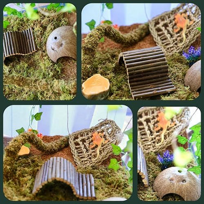 Hermit Crab Accessories – 8PCS Natural Hermit Crab Toys Climbing Bridge, Shells, Coconut Hideout, Moss and Plants for Hermit Crabs Habitat & Reptile Tank Decor