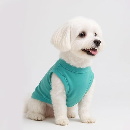 2 Pieces Chihuahua Clothes Dog Clothes for Small Dogs Girl Boy Spring Summer Puppy Soft Dog Shirt Solid Color Pet Clothing Cute Cat Cloth XXS~M (X-Small)