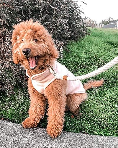 Gooby Fleece Vest Dog Sweater, Clay, X-Small