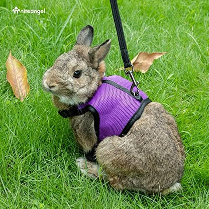 Niteangel Adjustable Soft Harness with Elastic Leash for Rabbits (M, Purple)