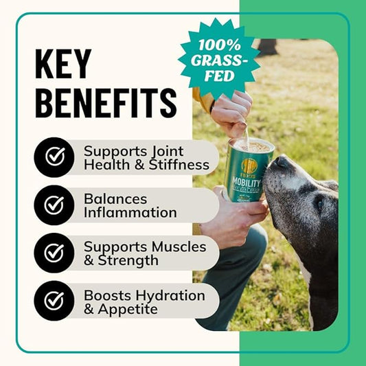 Fido's Mobility Bone Broth for Dogs - Grass-Fed Beef Bone Broth Powder & Organic Herbs - Joint Supplement for Dogs - Dog Food Topper for Dry Food - 60 Scoops