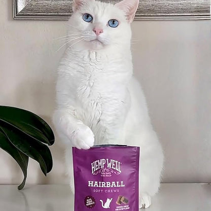 Hemp Well Cat Hairball Soft Chews for Cats, Organic USA Grown, Chicken Cheese & Catnip Flavor!